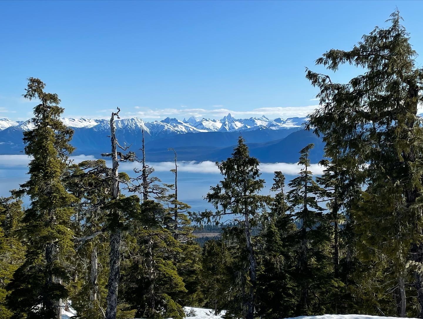 Raven's Roost Cabin - Alaska Cabin Quest